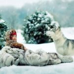 Вещи для новорожденного