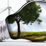 Блог читателя: мои советы, как сэкономить воду и электричество