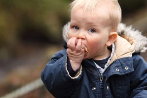 Сбалансированное питание ребенка от 1 до 3 лет