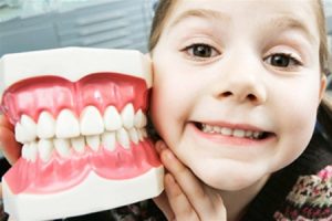 Прорезывание, рост и выпадение зубов у ребенка