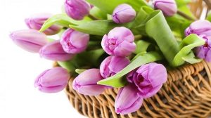 8 марта, цветы, тюльпаны