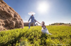 свадьба, жених и невеста
