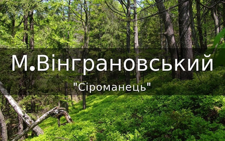 сіроманець